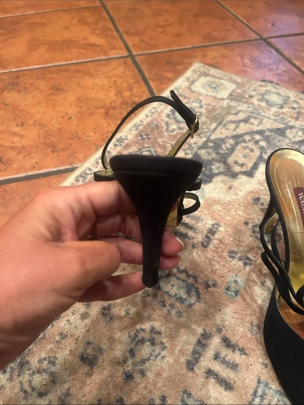 Walter Steiger chic pointed